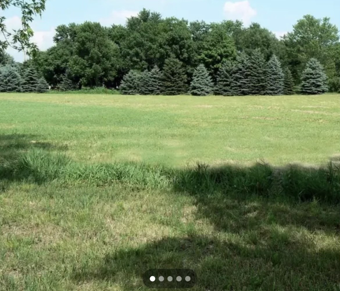 a view of a field with an ocean
