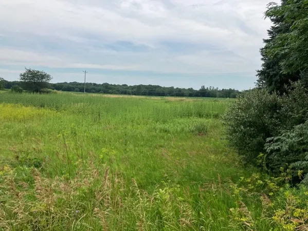 a view of lake with green space