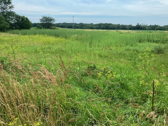 Lot 2 Timberline Drive Granville, IL 61326 - Photo 4 of 8 a view of a lake with a big yard