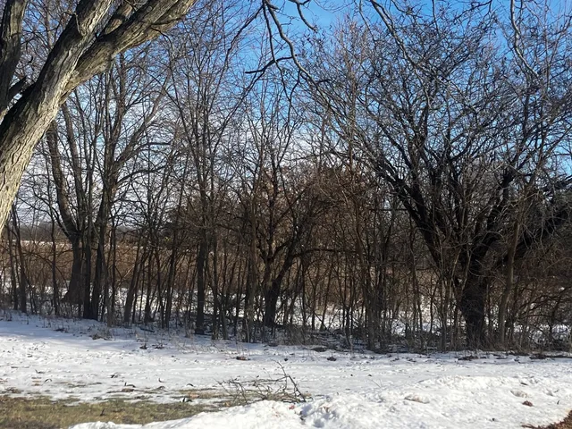 a view of outdoor space with trees