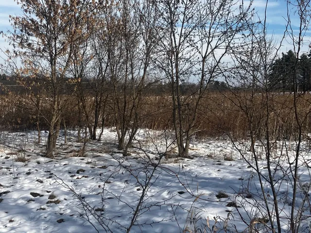 a view of house with trees in the background