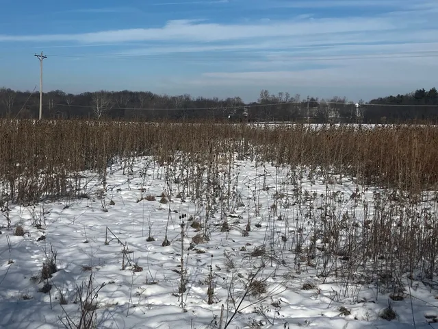 a view of lake with mountain