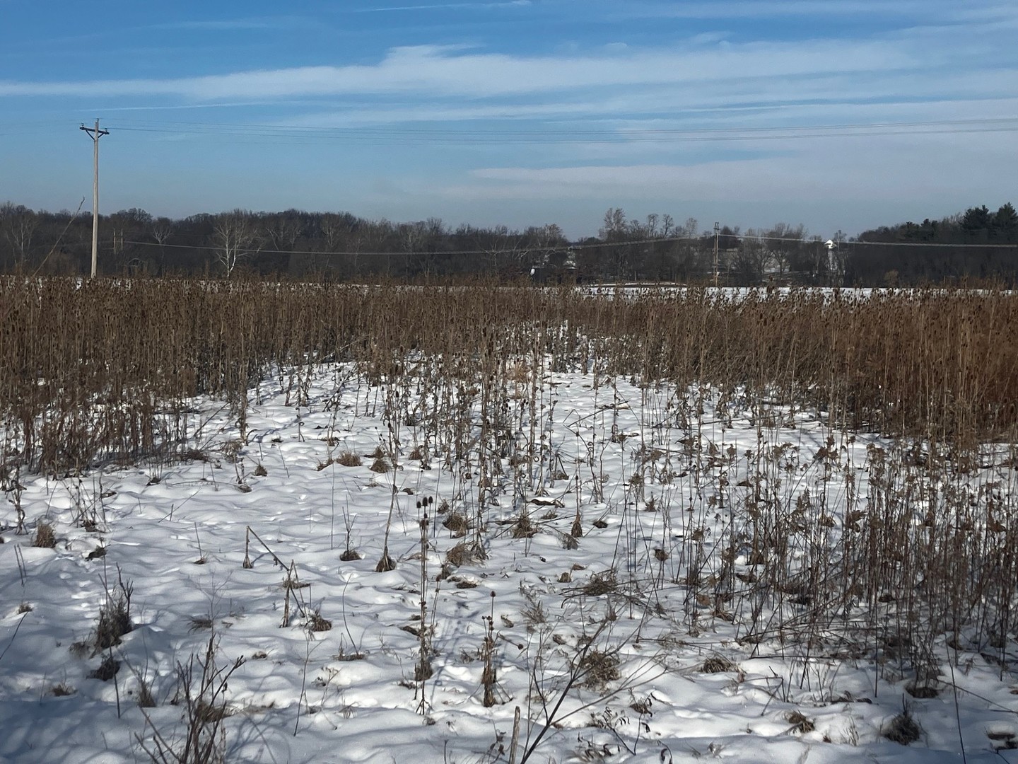 Lot 2 Timberline Drive Granville, IL 61326 - Photo 7 of 8 a view of lake with mountain