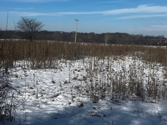 a view of lake with mountain