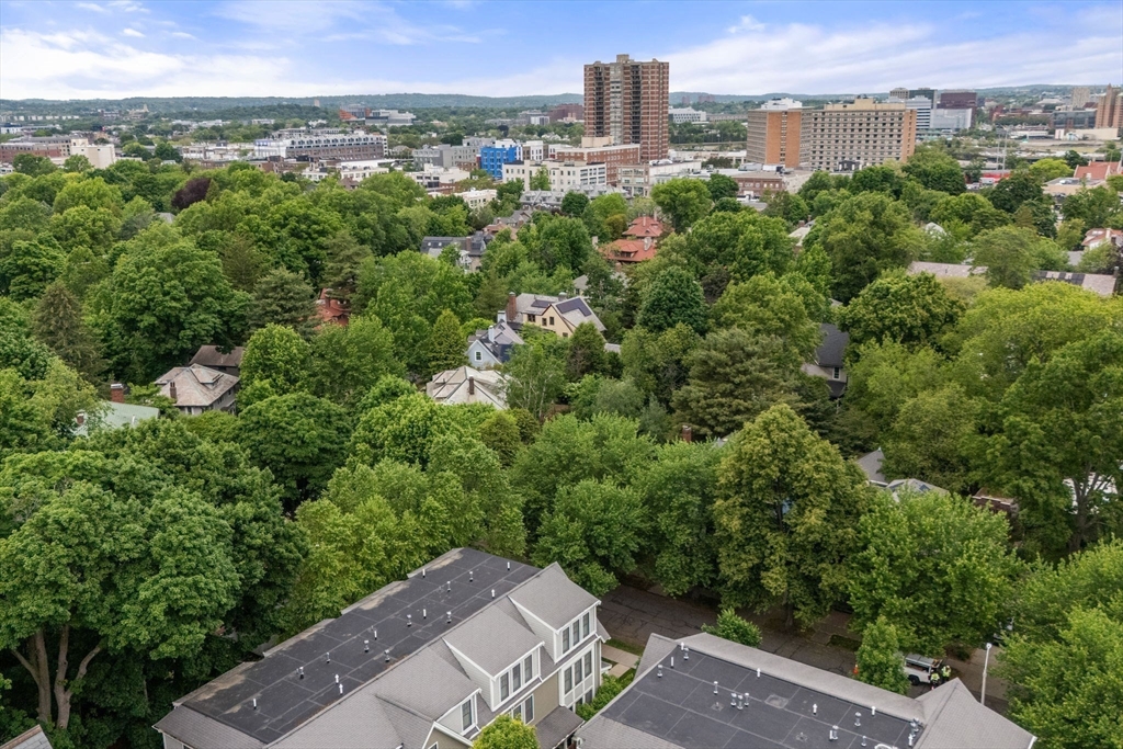 99 Crowninshield Road, Unit 99 Brookline, MA 02446 - Photo 16 of 17
