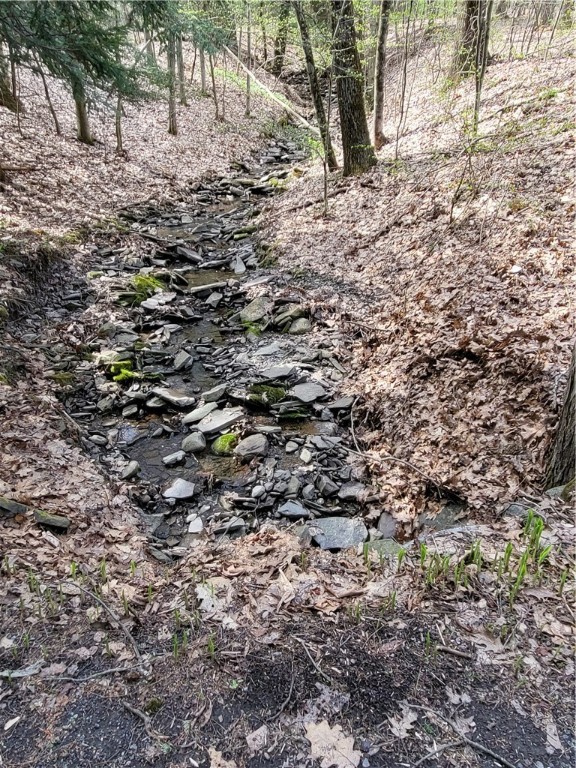 607 Kilkenny Road Unadilla, NY 13849 - Photo 33 of 42 Brook