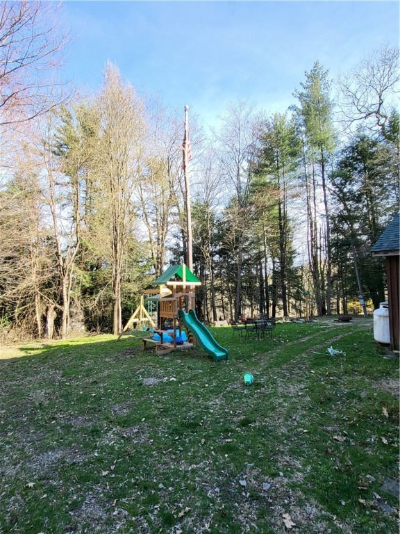 607 Kilkenny Road Unadilla, NY 13849 - Photo 38 of 42 side yard