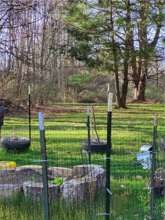 607 Kilkenny Road Unadilla, NY 13849 - Photo 39 of 42 rear yard