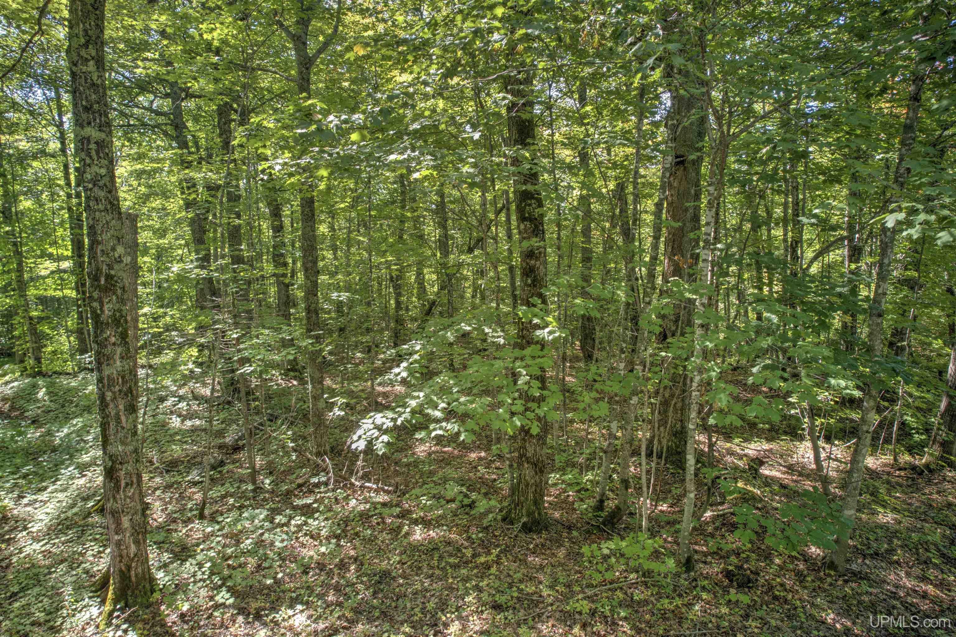Tbd Lake Medora Road Mohawk, MI 49950 - Photo 15 of 19