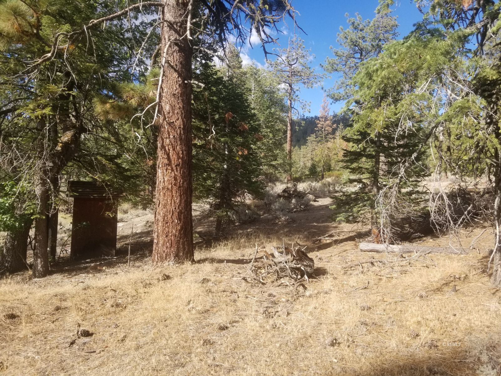 Piute Pines Caliente, CA 93518 - Photo 16 of 26