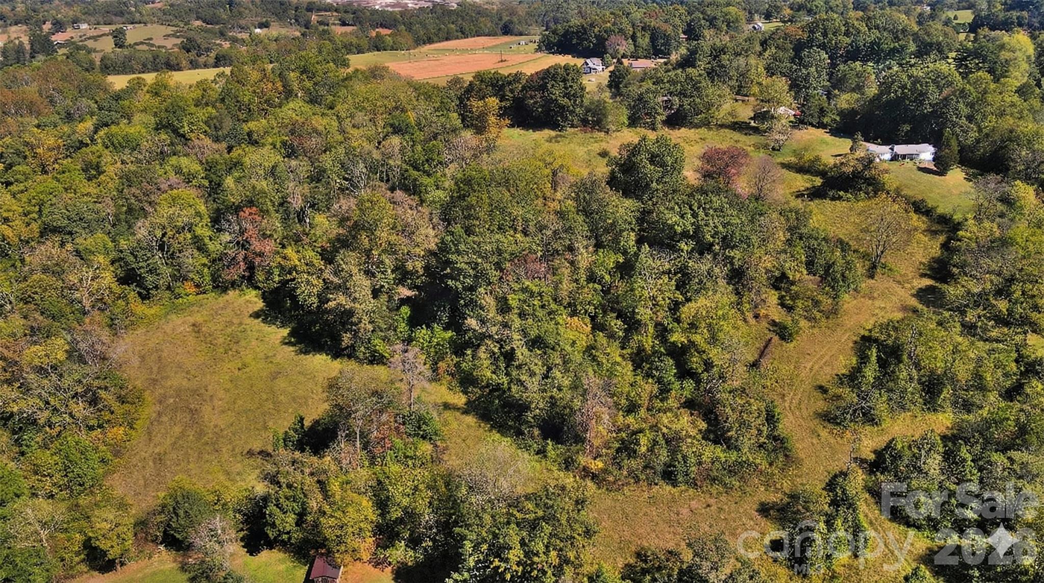 37 Amber Lane Clyde, NC 28721 - Photo 7 of 13