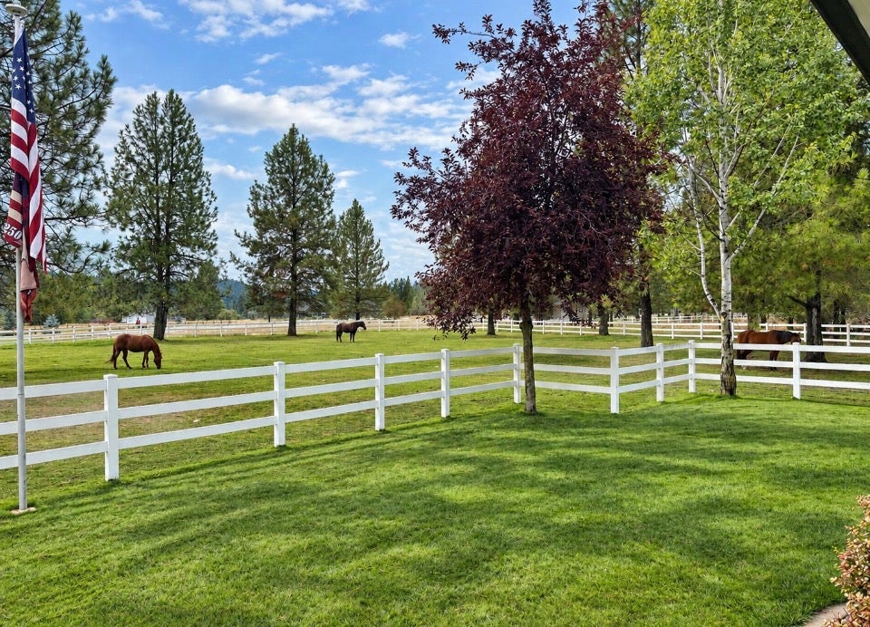 659 Airfield Road Libby, MT 59923 - Photo 4 of 42 Gallery Image 4
