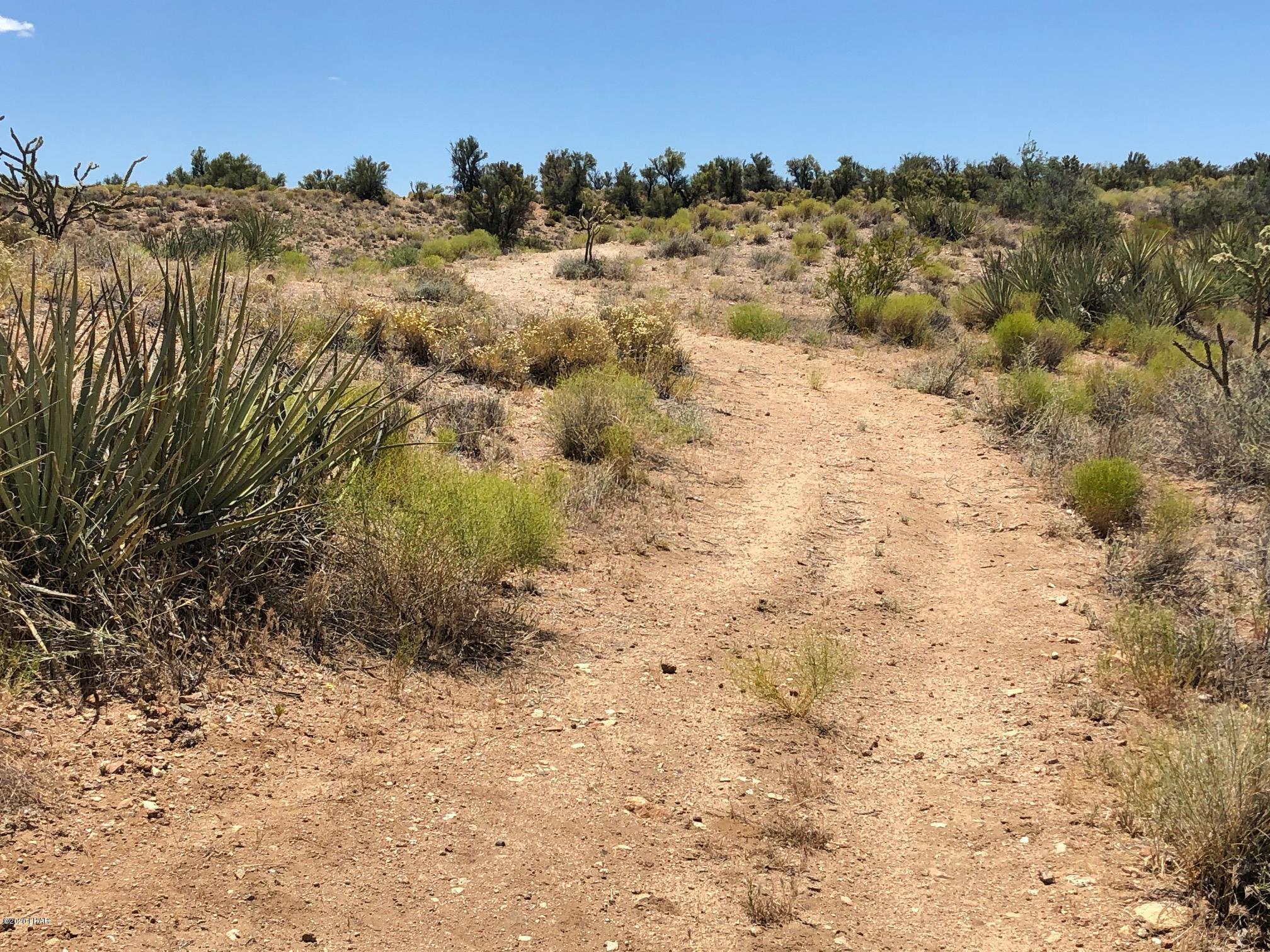 5809 Windmill Road Kingman, AZ 86401 - Photo 11 of 22 IMG_5177