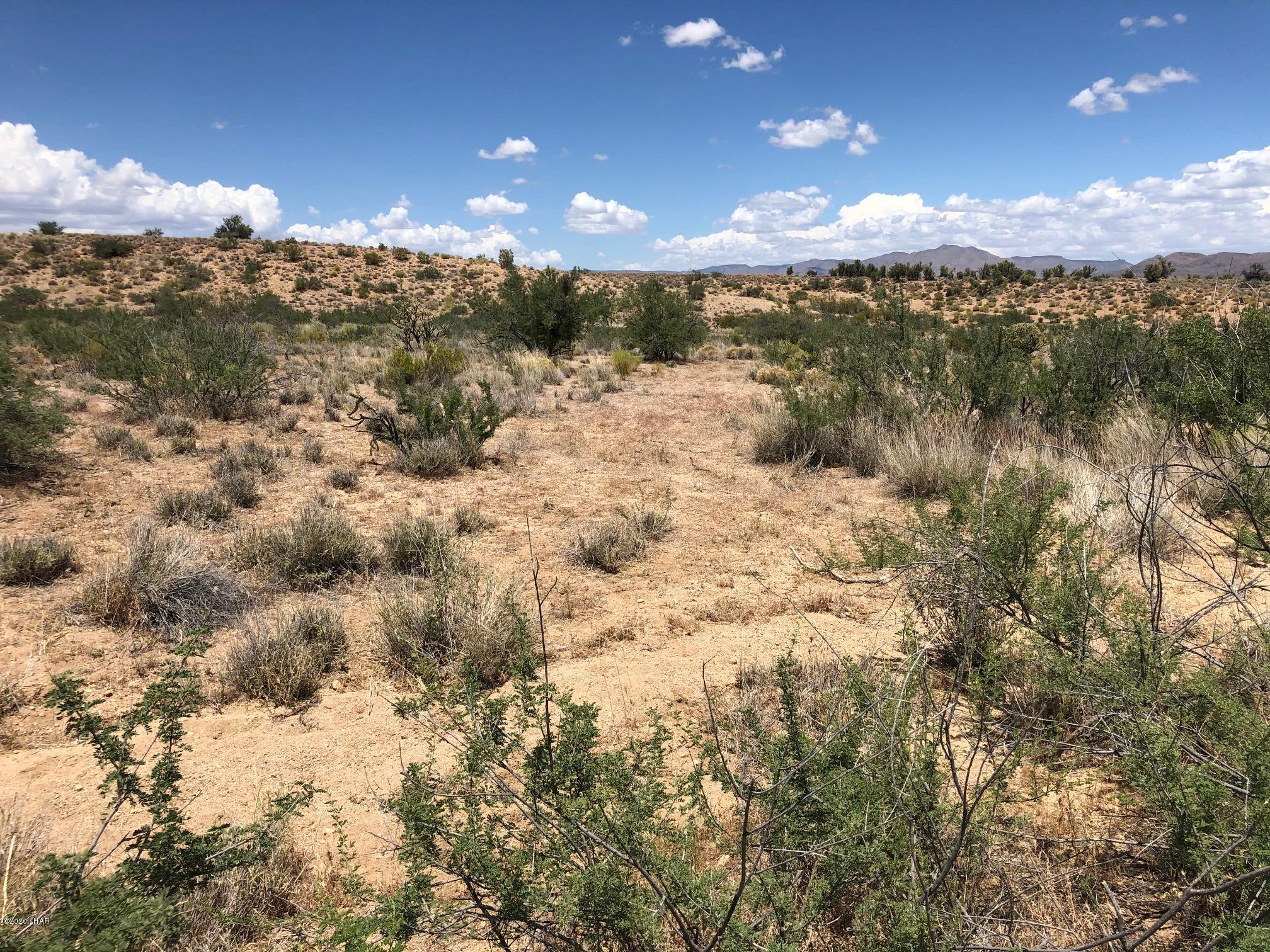 5809 Windmill Road Kingman, AZ 86401 - Photo 14 of 22 IMG_5180