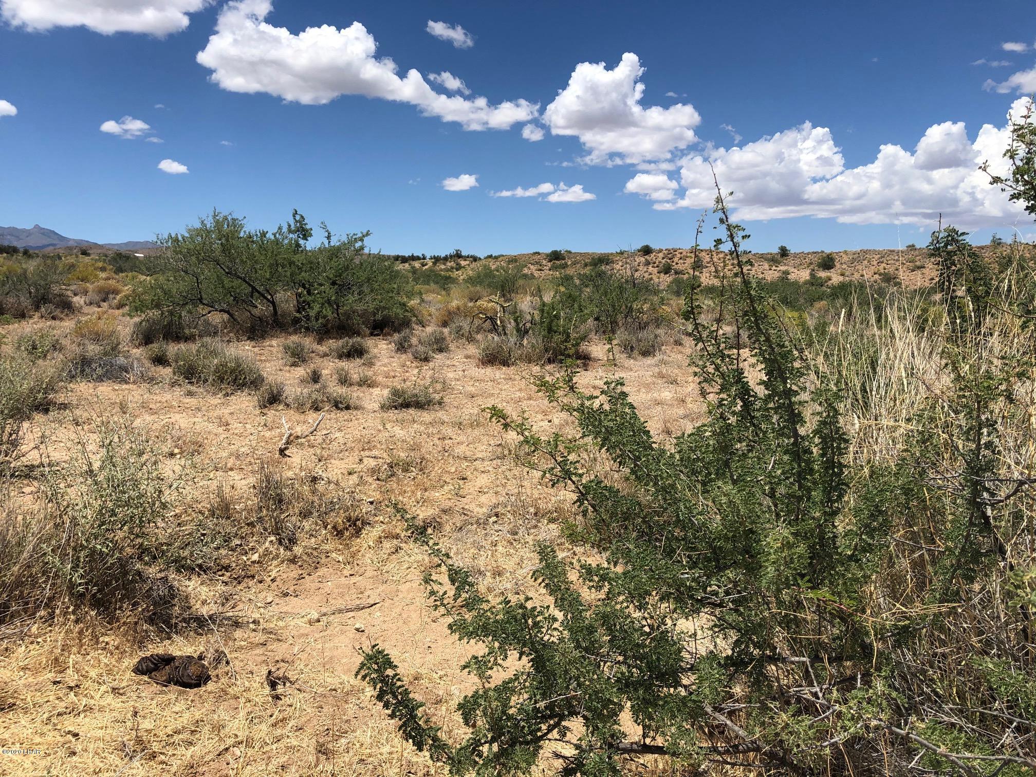 5809 Windmill Road Kingman, AZ 86401 - Photo 15 of 22 IMG_5181