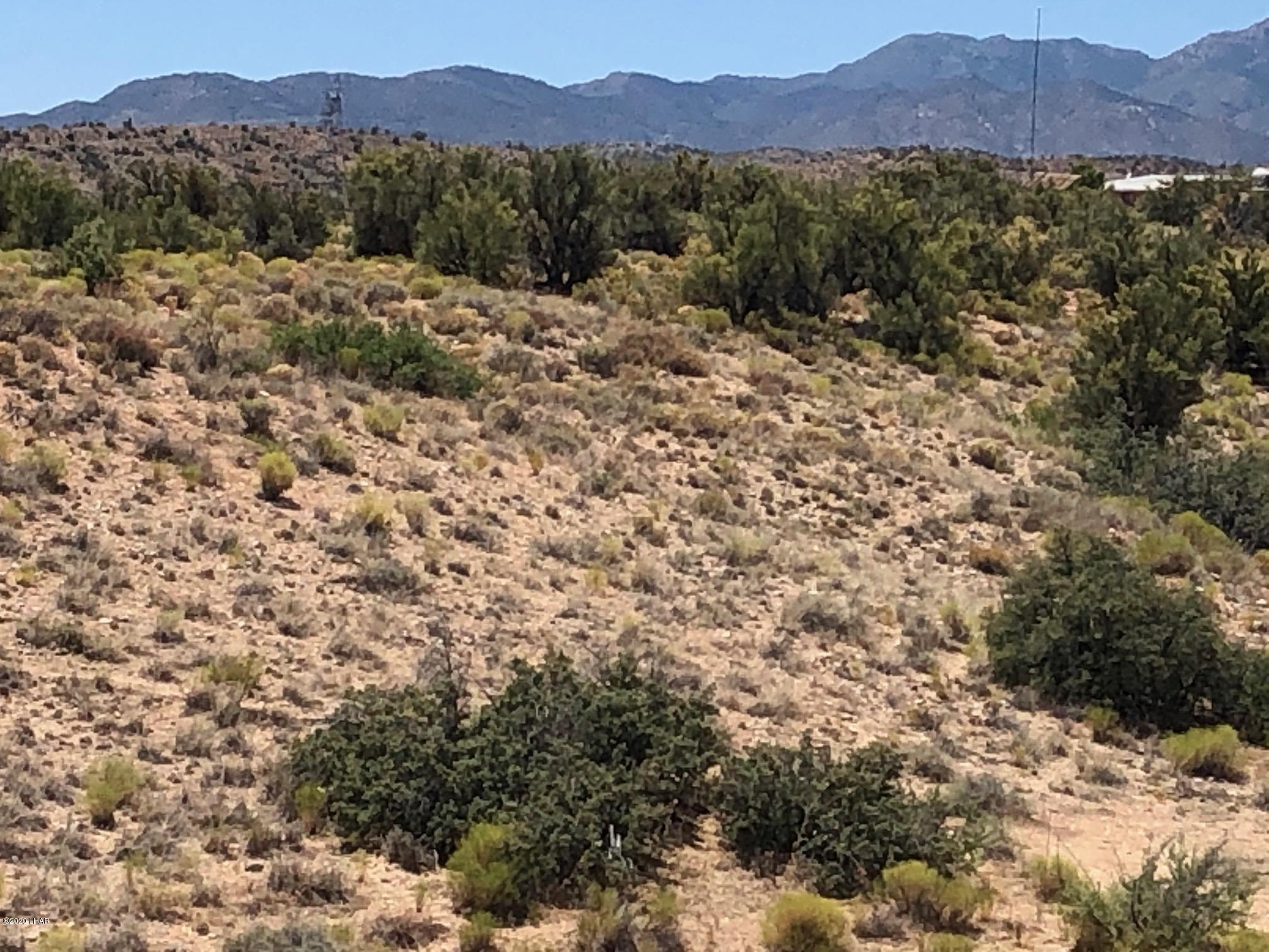 5809 Windmill Road Kingman, AZ 86401 - Photo 7 of 22 IMG_5173