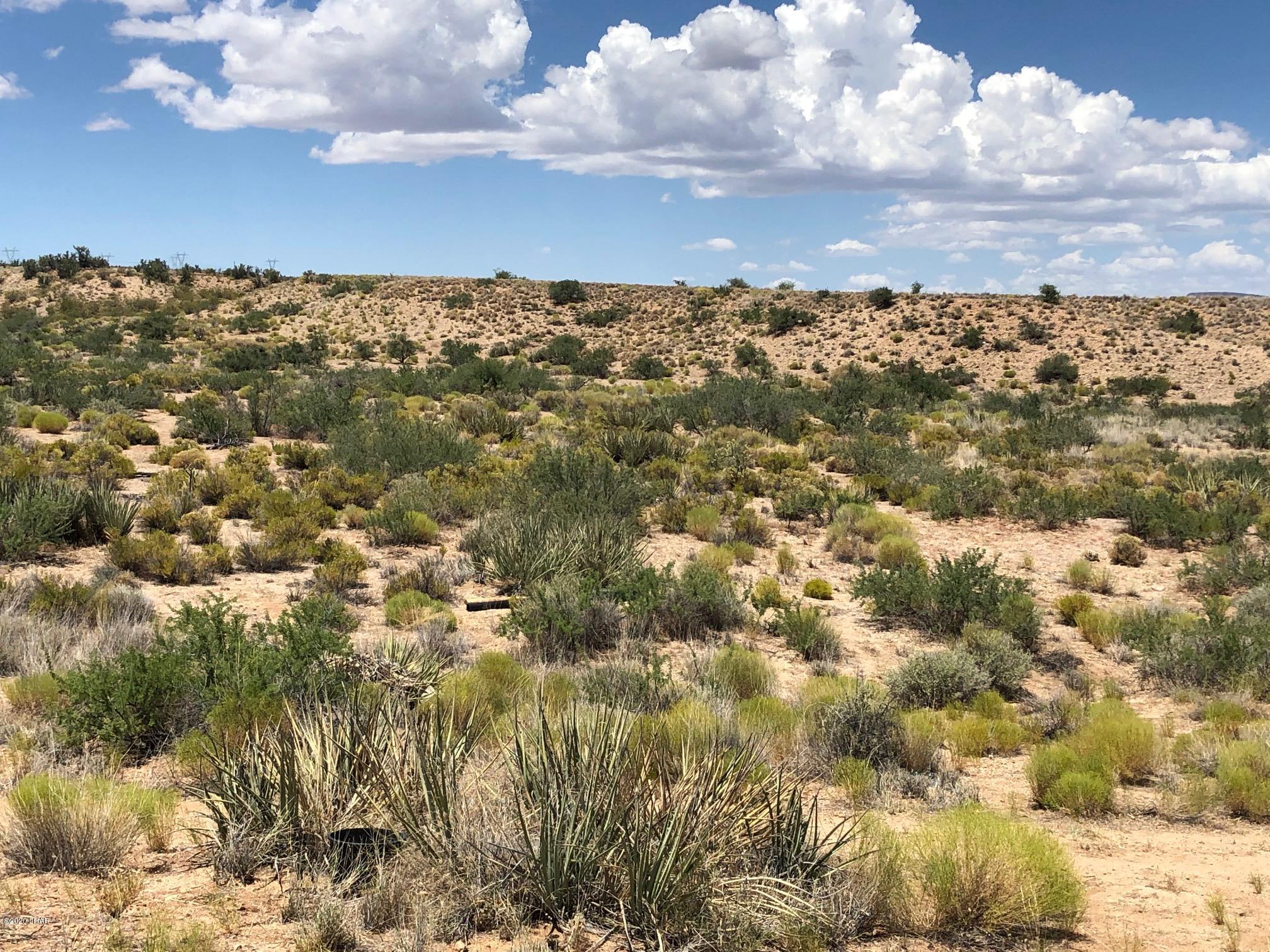 5809 Windmill Road Kingman, AZ 86401 - Photo 10 of 22 IMG_5176