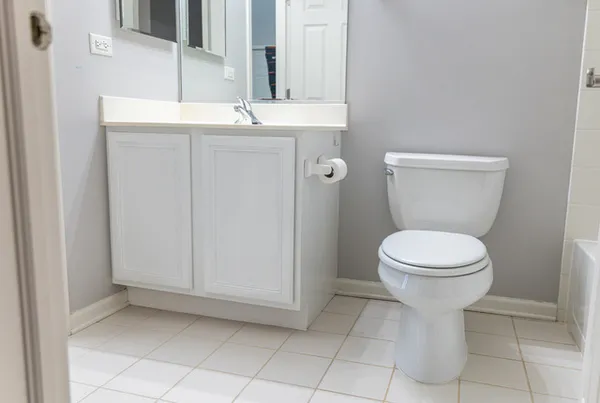 $3,300 | 228 West Fairview Way, Palatine, IL 60067