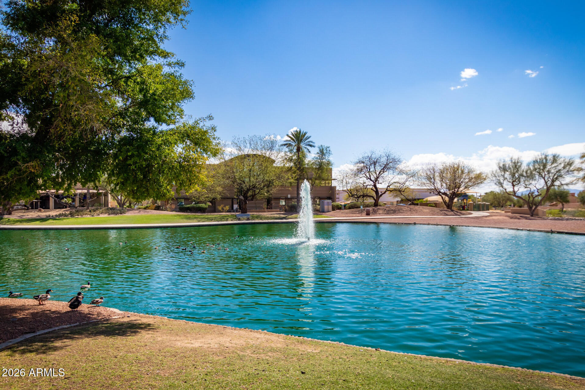 4313 East Desert Trumpet Road Phoenix, AZ 85044 - Photo 55 of 75 Community Lake & Somtimes Ducks too