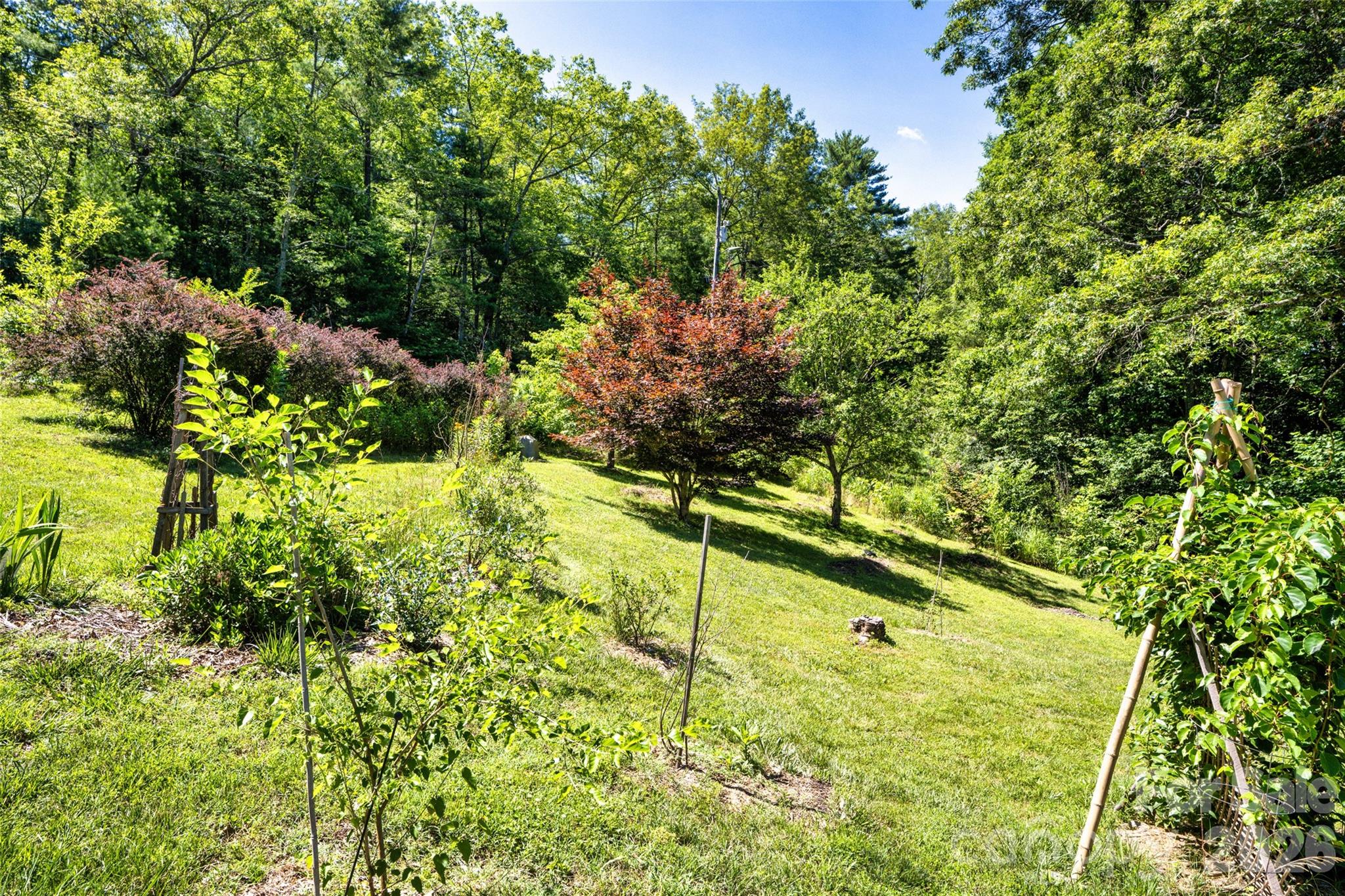 435 McMinn Road Hendersonville, NC 28792 - Photo 37 of 48