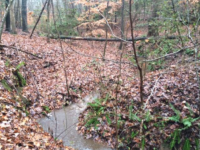 29.9-acres Chapman Road Belton, SC 29627 - Photo 1 of 6