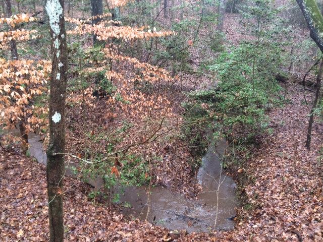 29.9-acres Chapman Road Belton, SC 29627 - Photo 5 of 6
