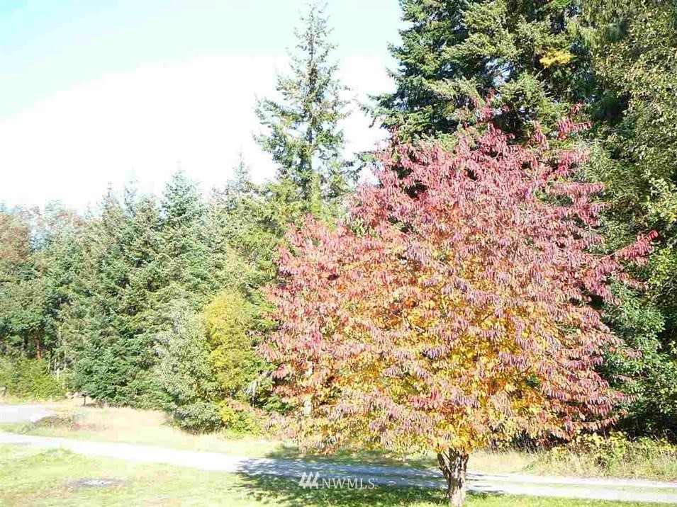537 Dryke Road Sequim, WA 98382 - Photo 19 of 23 Gallery Image 19