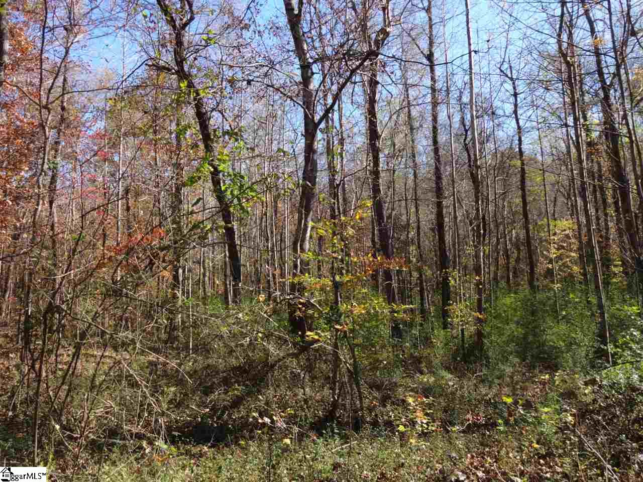 South Barton Road Taylors, SC 29687 - Photo 18 of 33