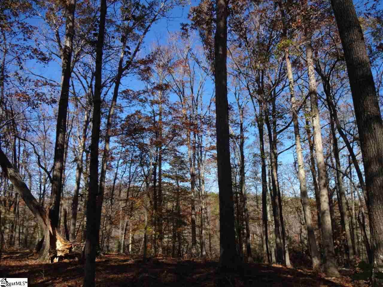 South Barton Road Taylors, SC 29687 - Photo 20 of 33