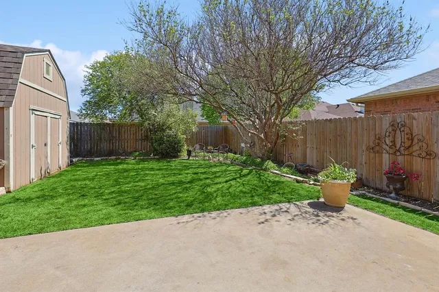 a view of a backyard with small fountain plants and large tree