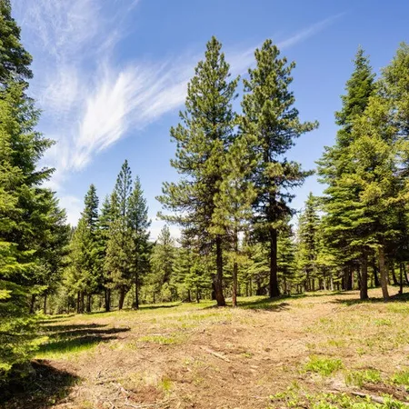 $400,000 | Lot 18 To Be Determined, Unit 18, McCall, ID 83638