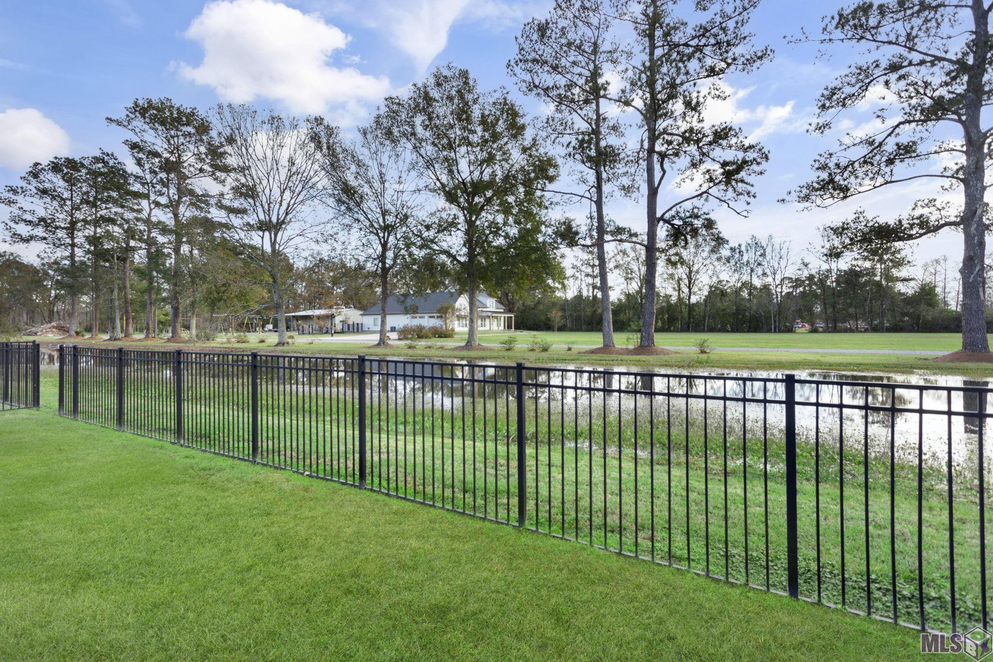 44067 Lebeau Road St. Amant, LA 70774 - Photo 3 of 15 Gallery Image 3