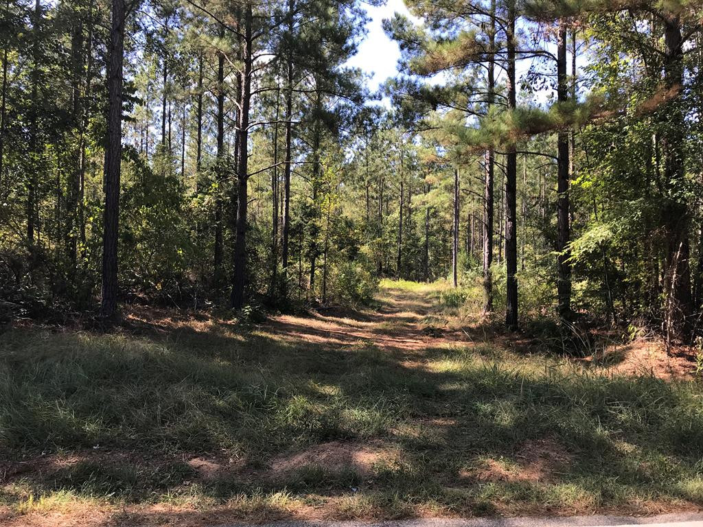 0 Martintown Road Edgefield, SC 29824 - Photo 1 of 3