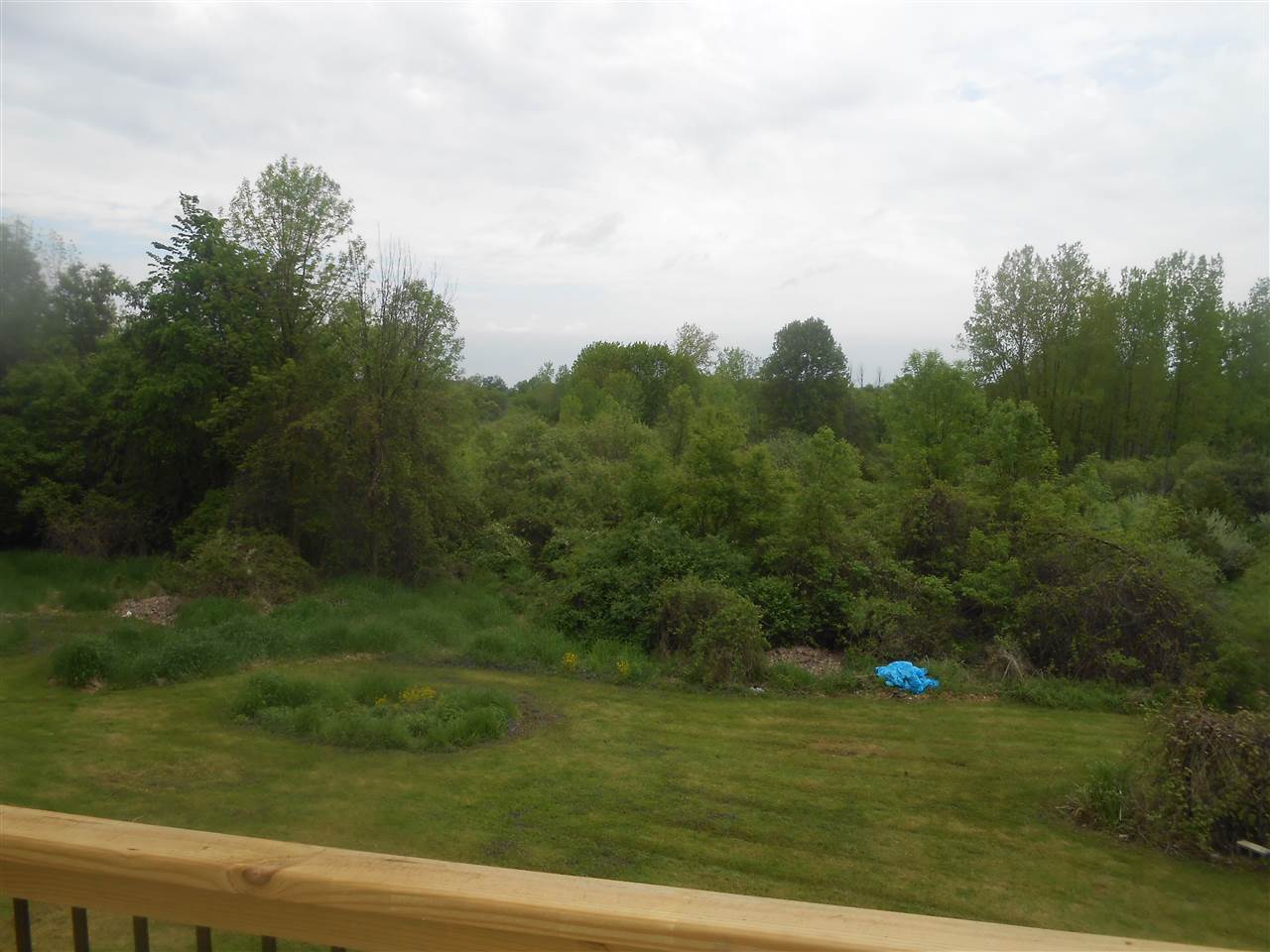 9861 East Kinley Road Ovid, MI 48866 - Photo 21 of 33 31381281-20.JPG
