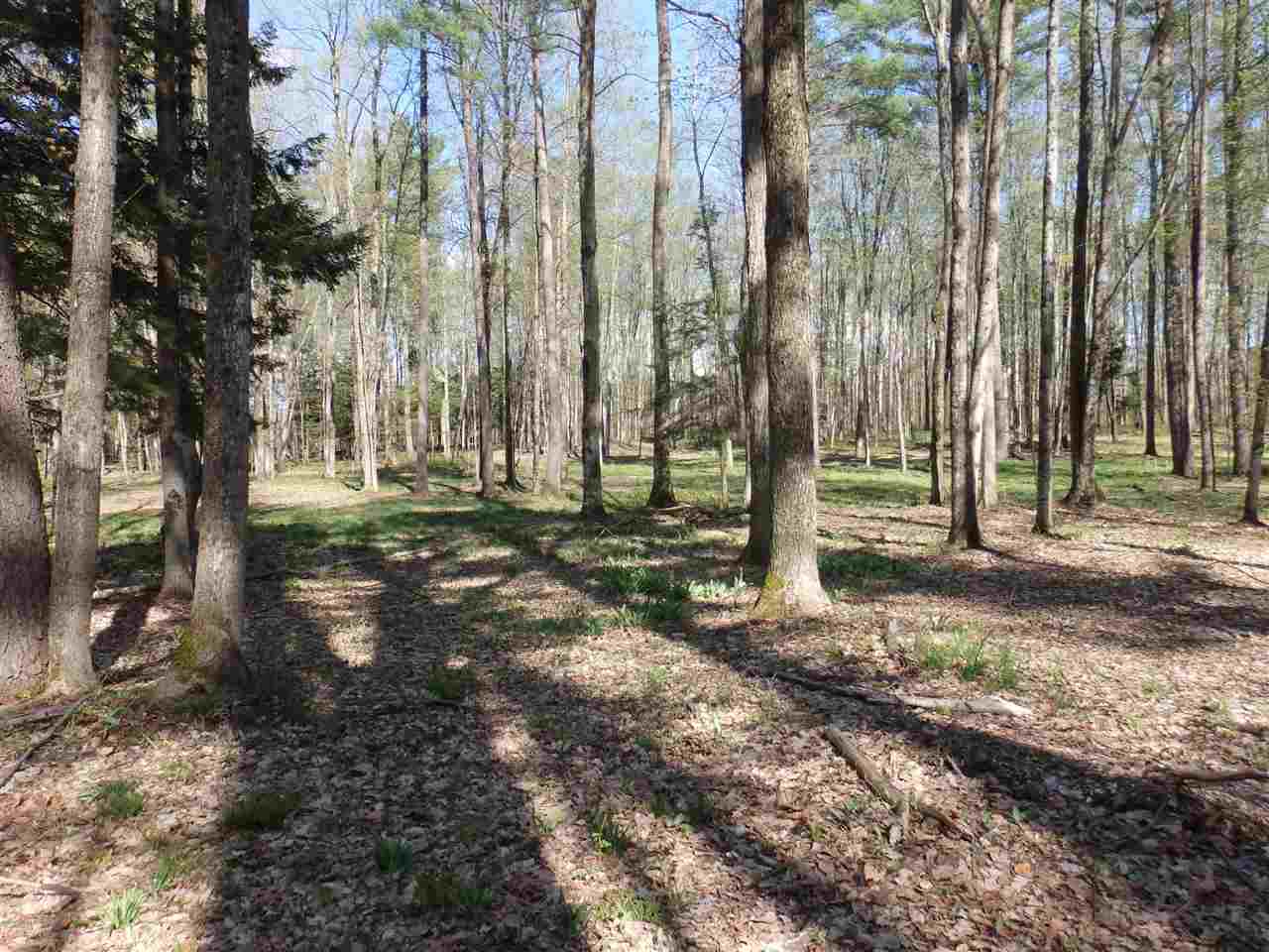 Oravainen Road, Unit PARCEL B Kaleva, MI 49645 - Photo 21 of 25