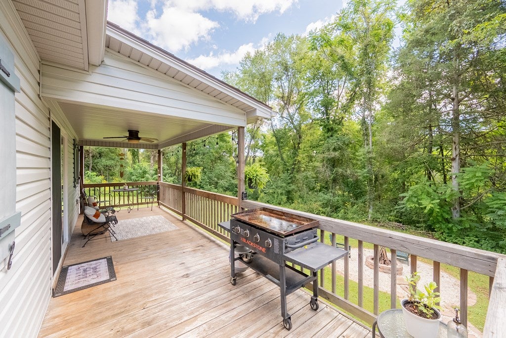 4882 Ivanhoe Road Ivanhoe, VA 24350 - Photo 44 of 57 Gallery Image 44
