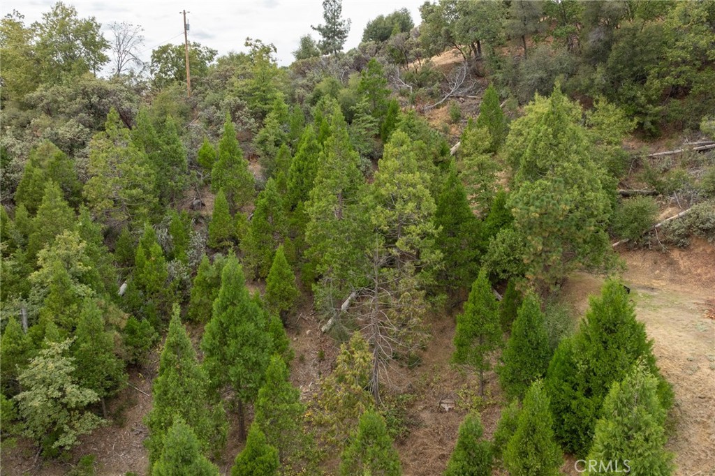 26 Timberview Road North Fork, CA 93643 - Photo 21 of 60