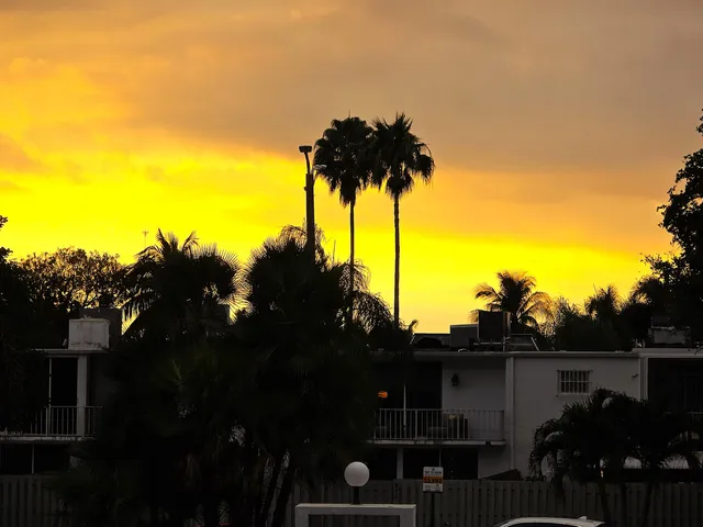 a group of people sitting in a yard