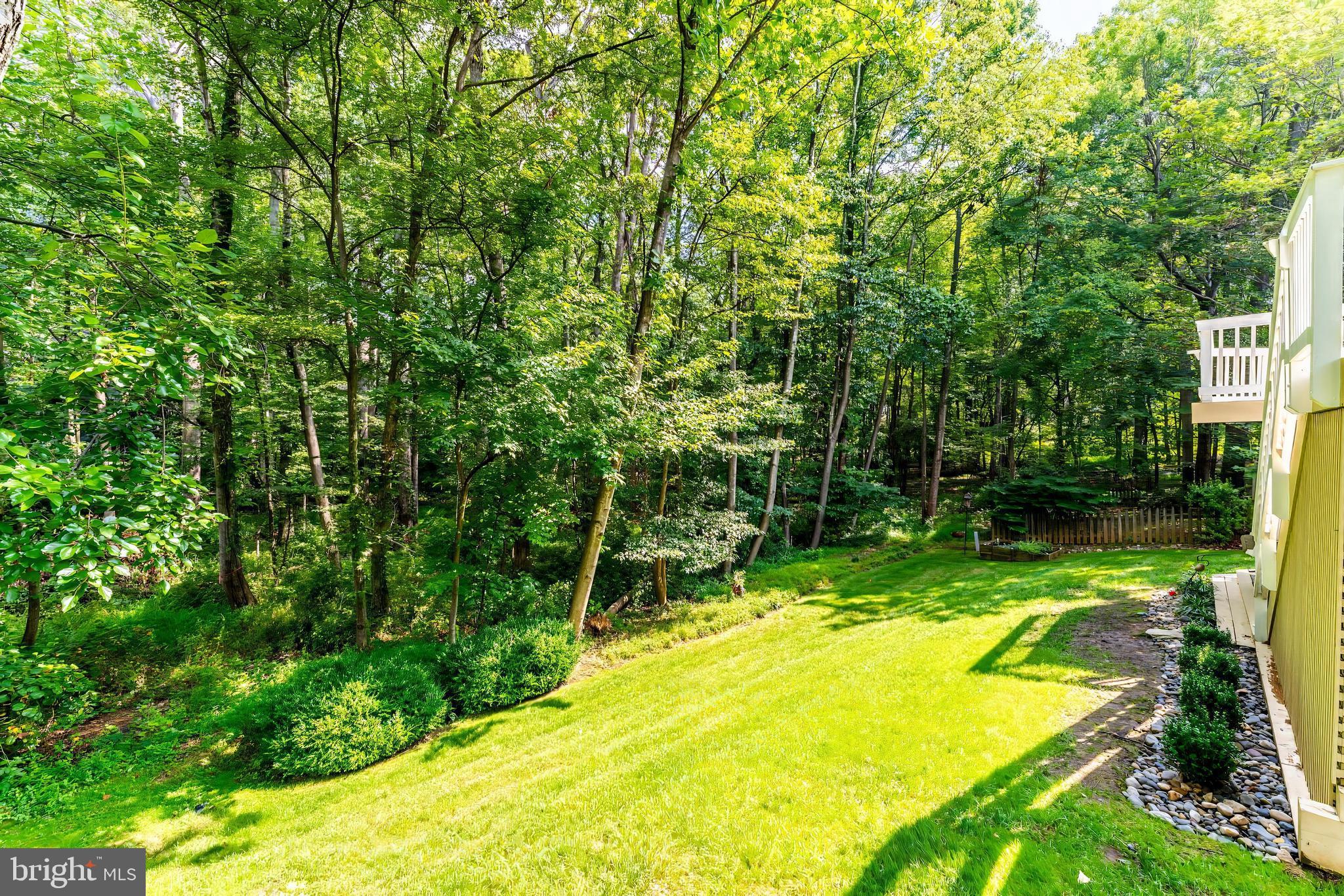 1248 Lamplighter Way Reston, VA 20194 - Photo 59 of 64 a view of swimming pool with a backyard