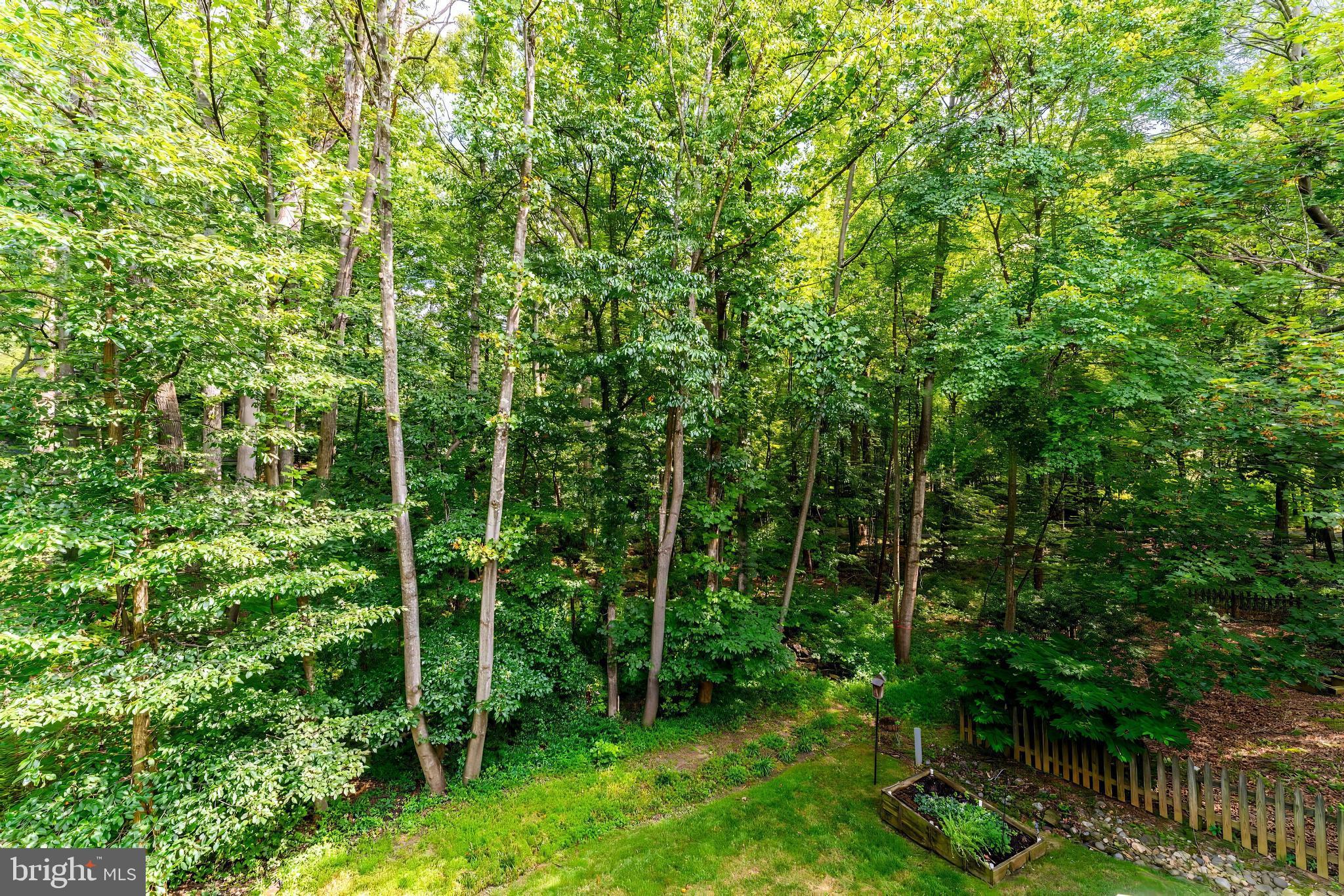 1248 Lamplighter Way Reston, VA 20194 - Photo 60 of 64