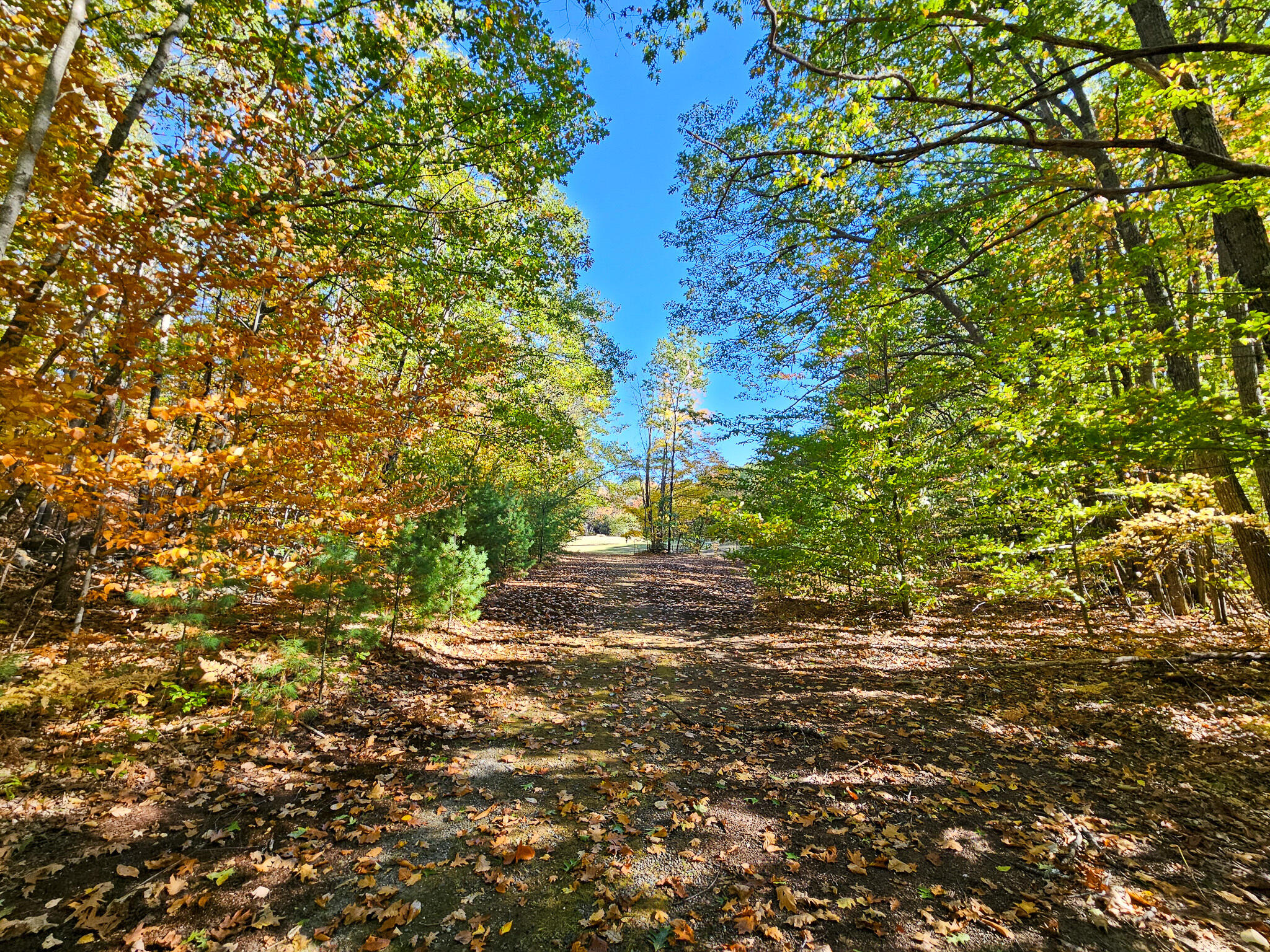 23 Cummings Hill Road Temple, ME 04984 - Photo 11 of 96 20250930_151835-2
