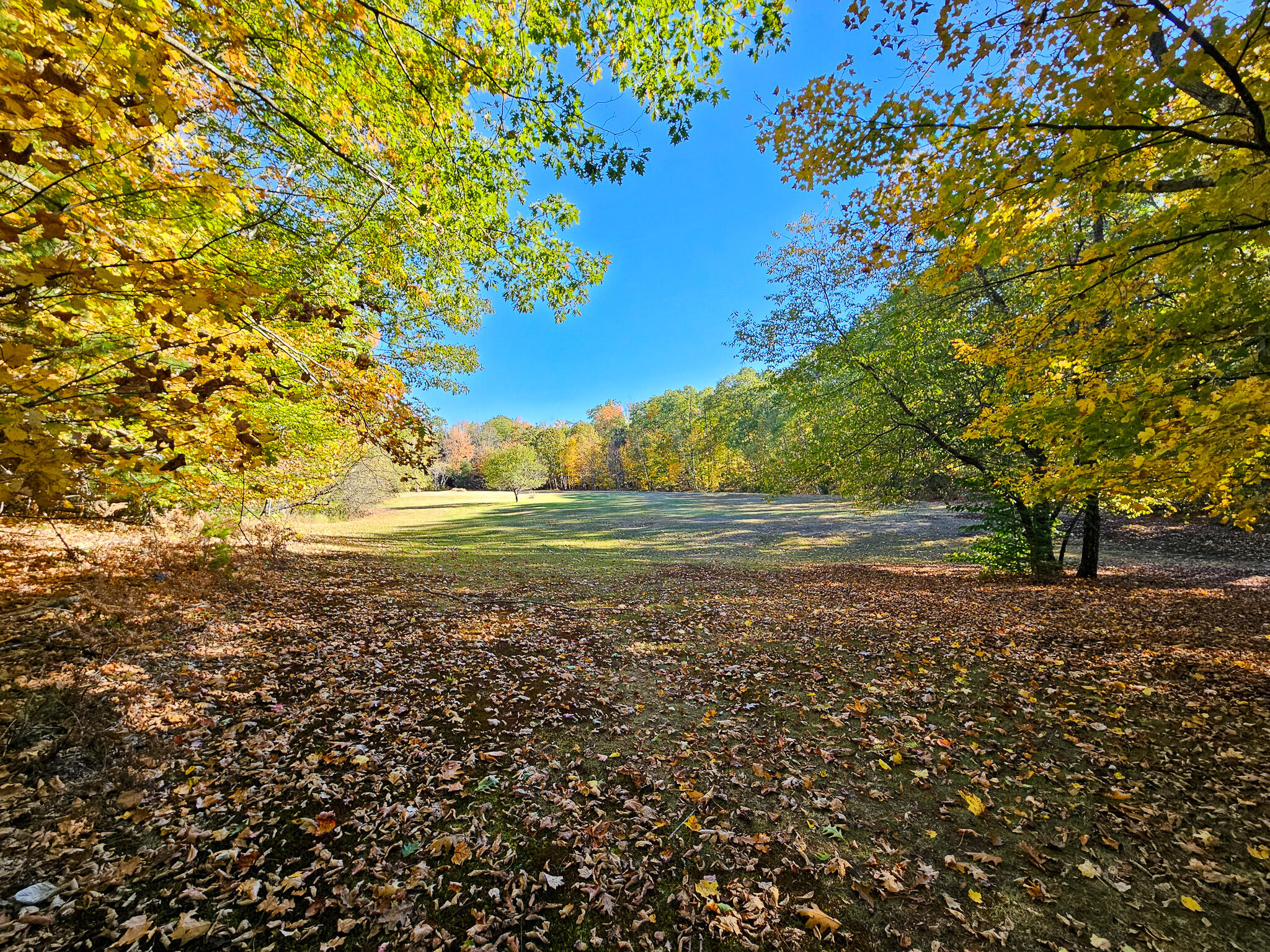 23 Cummings Hill Road Temple, ME 04984 - Photo 12 of 96 20250930_151938-2