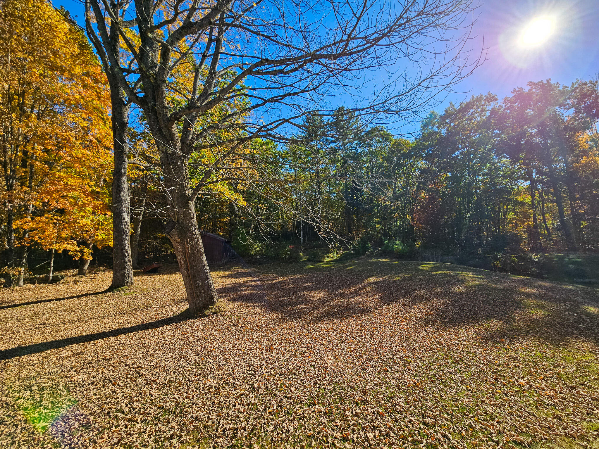 23 Cummings Hill Road Temple, ME 04984 - Photo 56 of 96 20250930_151035-2