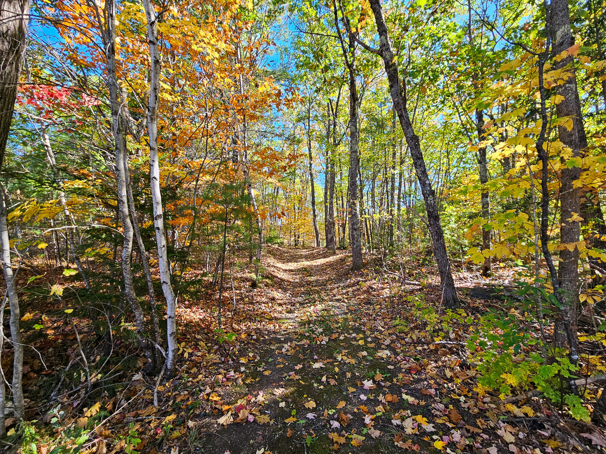 23 Cummings Hill Road Temple, ME 04984 - Photo 58 of 96 20250930_151158-2