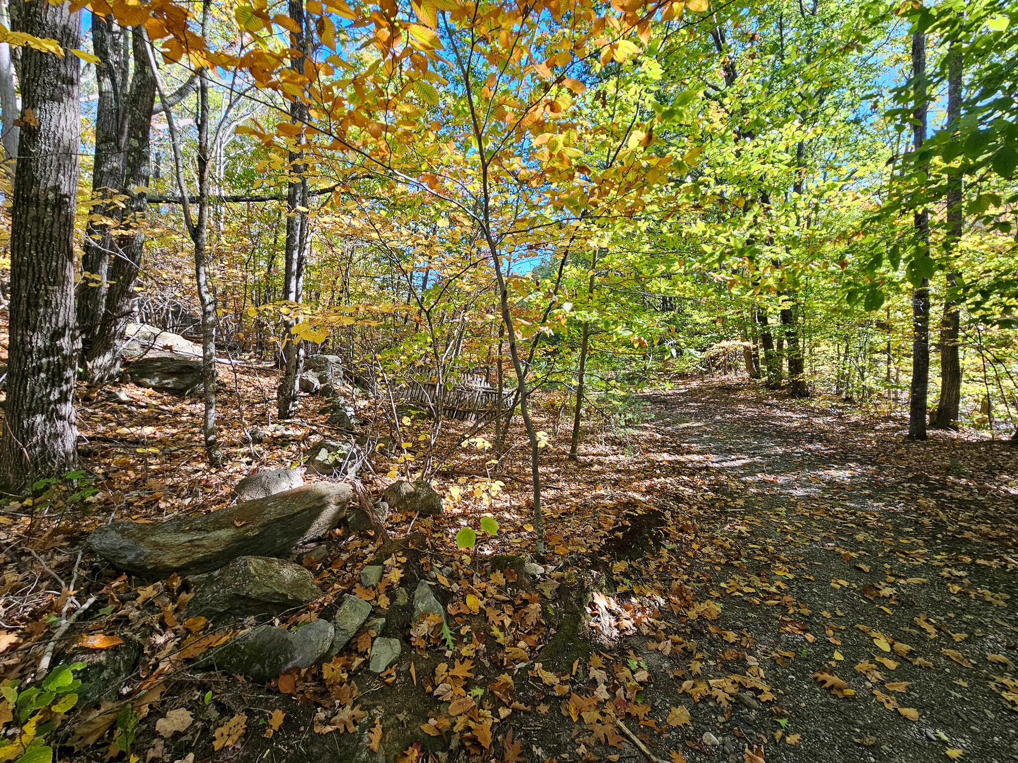 23 Cummings Hill Road Temple, ME 04984 - Photo 61 of 96 20250930_151512-2
