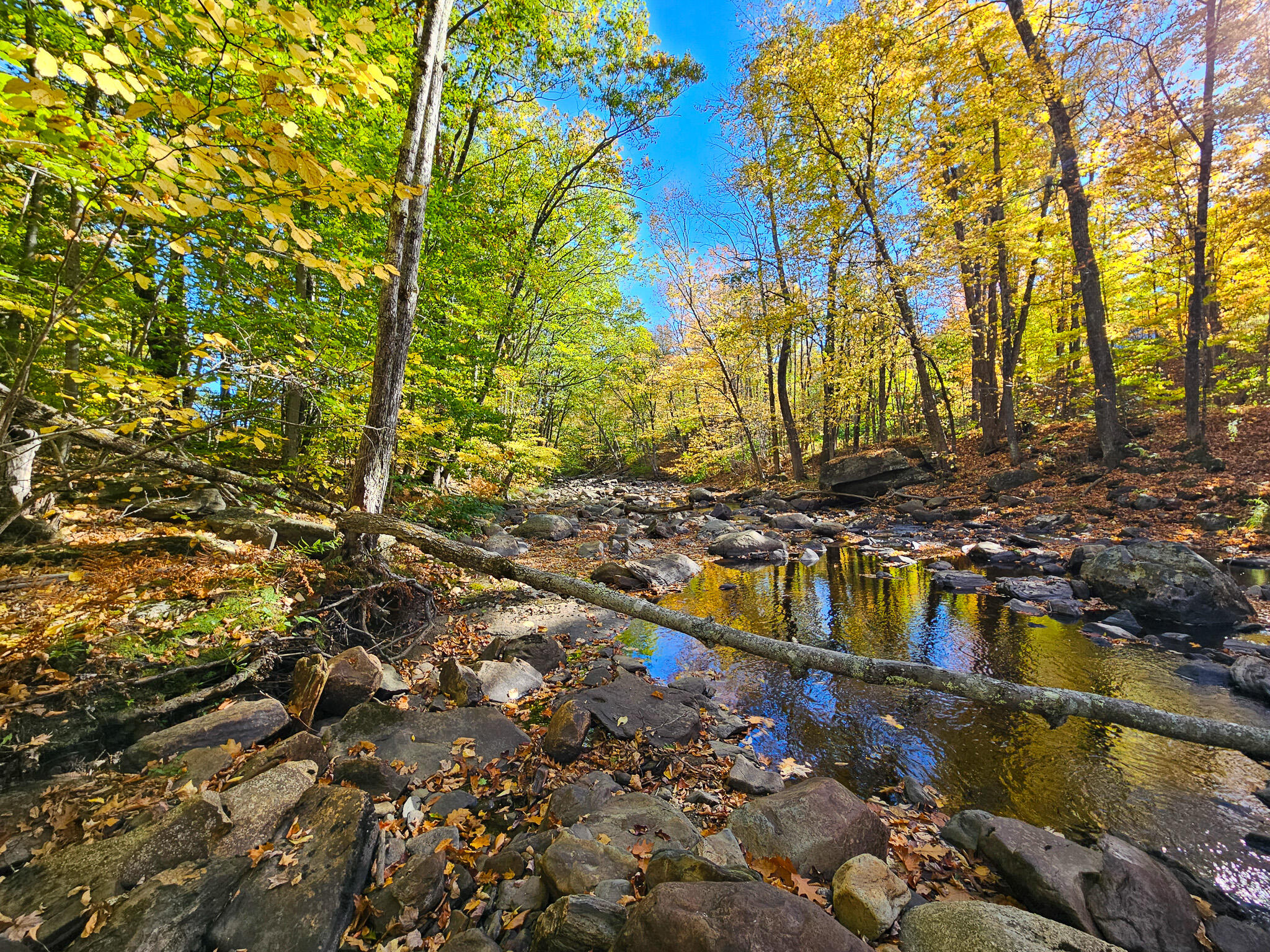 23 Cummings Hill Road Temple, ME 04984 - Photo 63 of 96 20250930_151636-2
