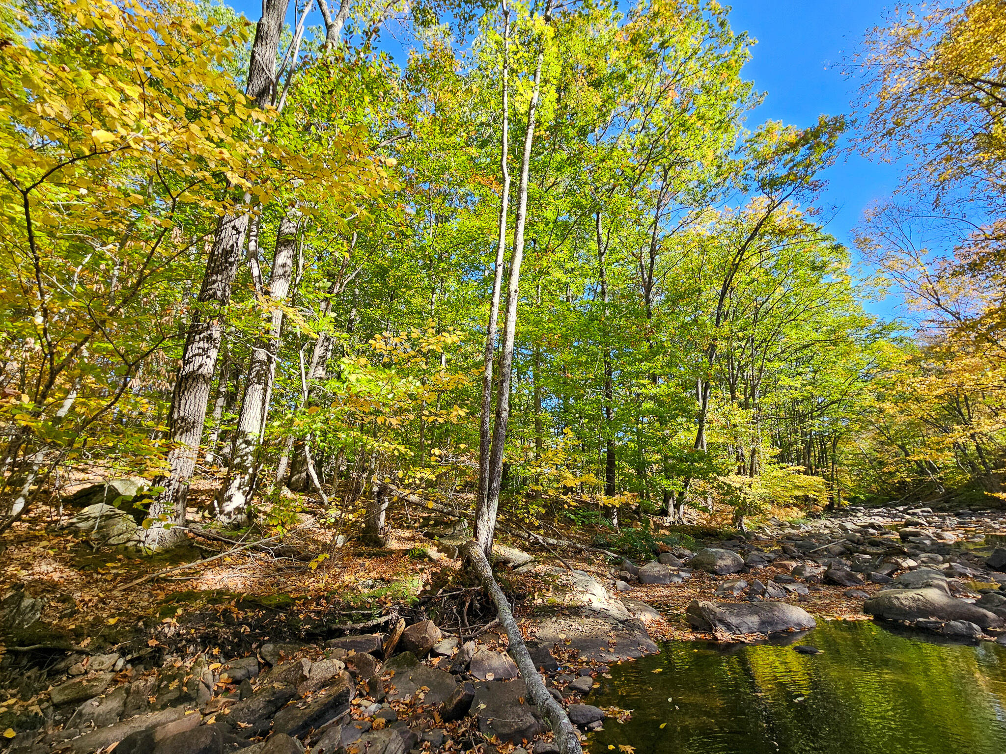 23 Cummings Hill Road Temple, ME 04984 - Photo 65 of 96 20250930_151716-2