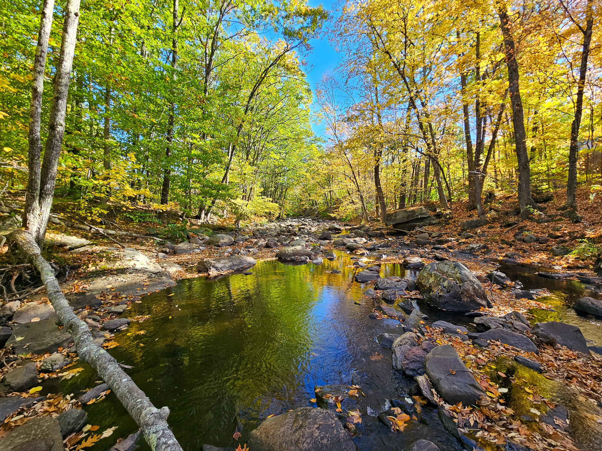 23 Cummings Hill Road Temple, ME 04984 - Photo 66 of 96 20250930_151719-2