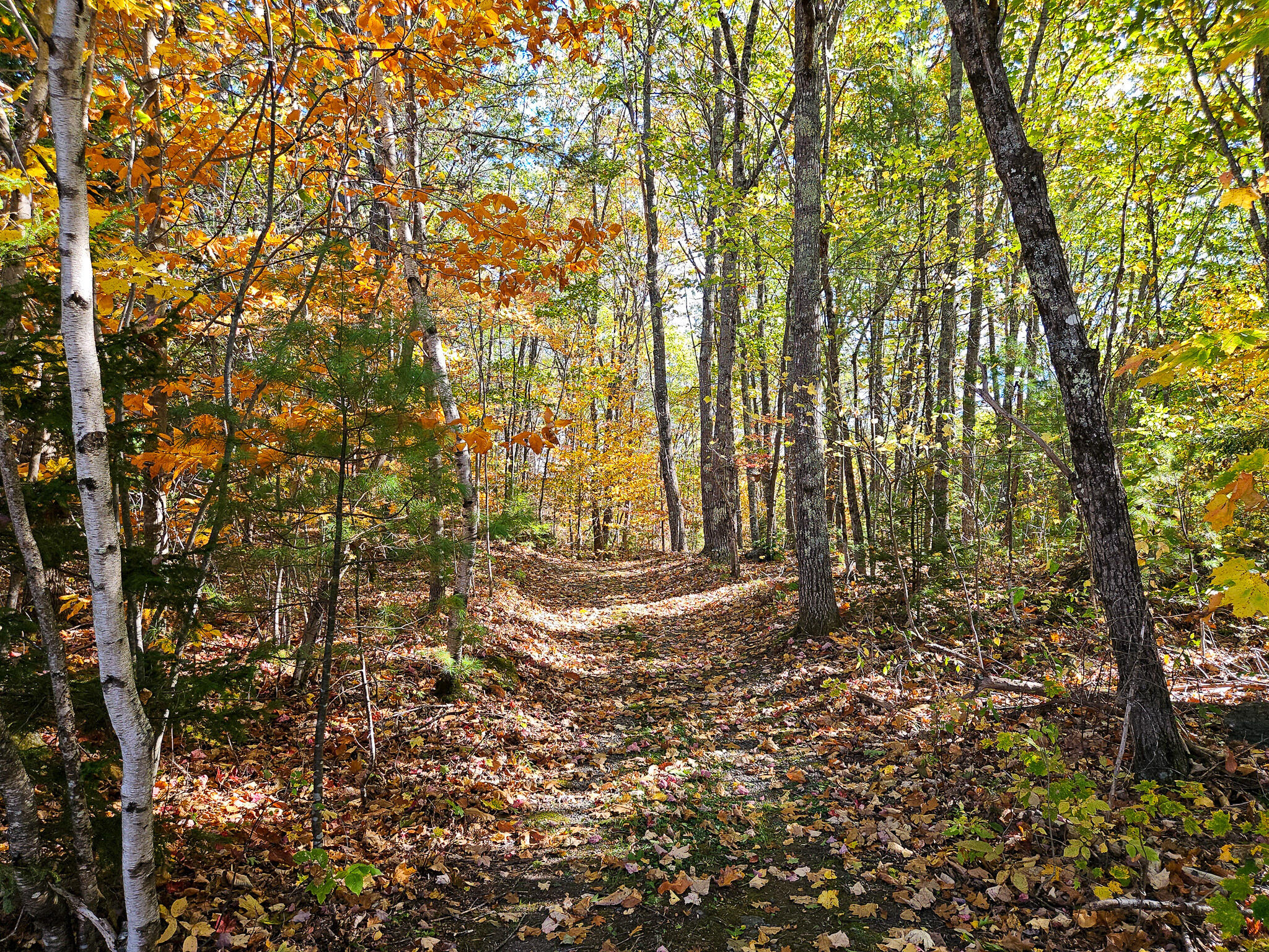 23 Cummings Hill Road Temple, ME 04984 - Photo 7 of 96 20250930_151156-2