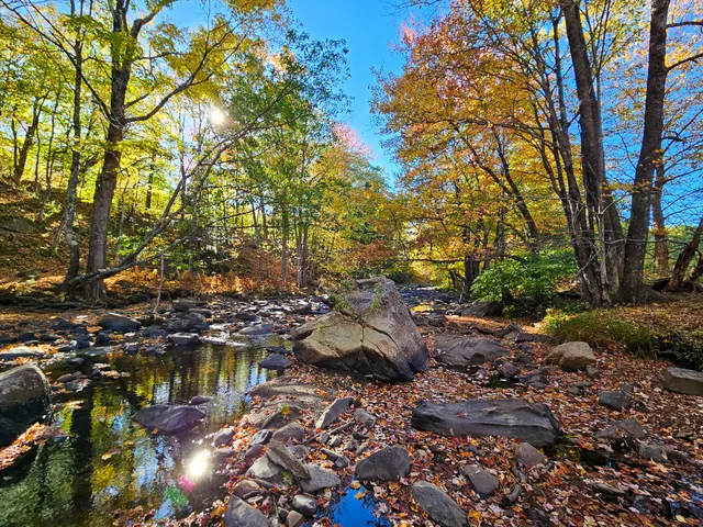 $289,900 | 23 Cummings Hill Road, Temple, ME 04984